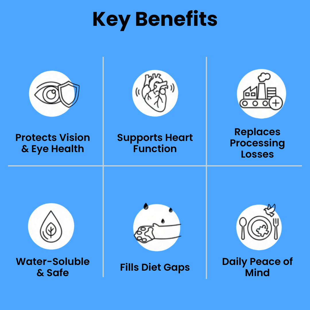 Stop the Silent Deficiency Before You See the Signs with KittySupps Taurine Supplement