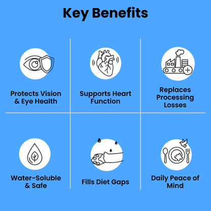 Stop the Silent Deficiency Before You See the Signs with KittySupps Taurine Supplement
