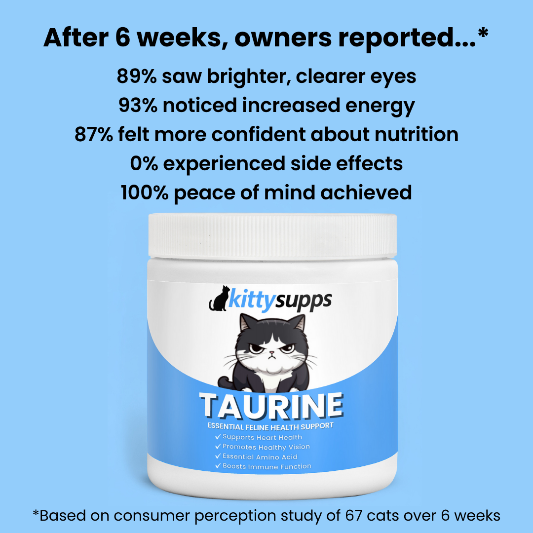 Stop the Silent Deficiency Before You See the Signs with KittySupps Taurine Supplement